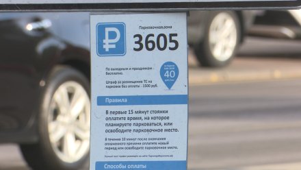 В длинные июньские выходные парковки в центре Воронежа будут бесплатными
