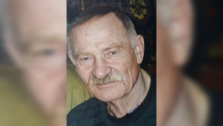 Лежал на дне оврага. Волонтёры рассказали о поисках найденного погибшим воронежца