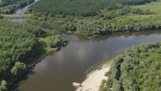 Воронежские экологи нашли отходы 5 класса опасности в Басовском рукаве
