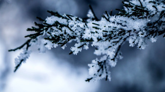 Морозы до -30 нагрянут в Воронежскую область в начале февраля