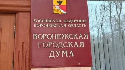 Городская дума приняла бюджет Воронежа на 2019 год