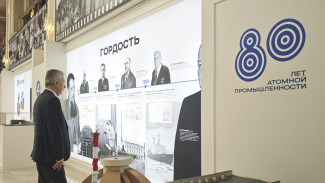 Нововоронежская АЭС представила свои инновационные энергоблоки в Совете Федерации РФ