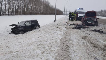 4-летней девочке понадобится помощь московских врачей после ДТП в Воронежской области