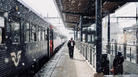 Воронеж и Курск в марте свяжет пригородный поезд