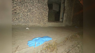 Появились фото с места обнаружения полуразложившегося трупа в подвале воронежского дома