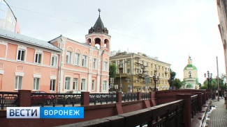 170 лет назад в Воронеже открылся Александринский детский приют