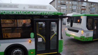 Власти Воронежа сообщили о готовности рассмотреть перевод маршруток на брутто-контракты