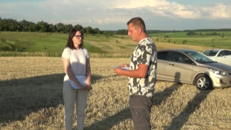 В Воронежской области разгорелся скандал из-за урожая