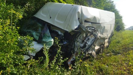 Пять человек пострадали в ДТП на трассе Курск – Воронеж