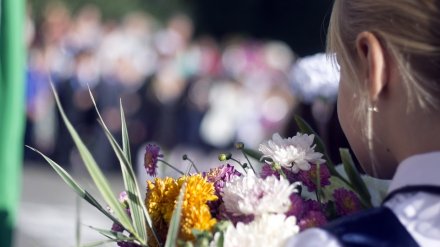 Синоптики пообещали летнюю погоду в День знаний в Воронежской области