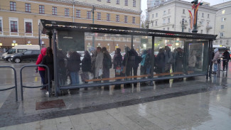 Какие проблемы общественного транспорта волнуют воронежцев