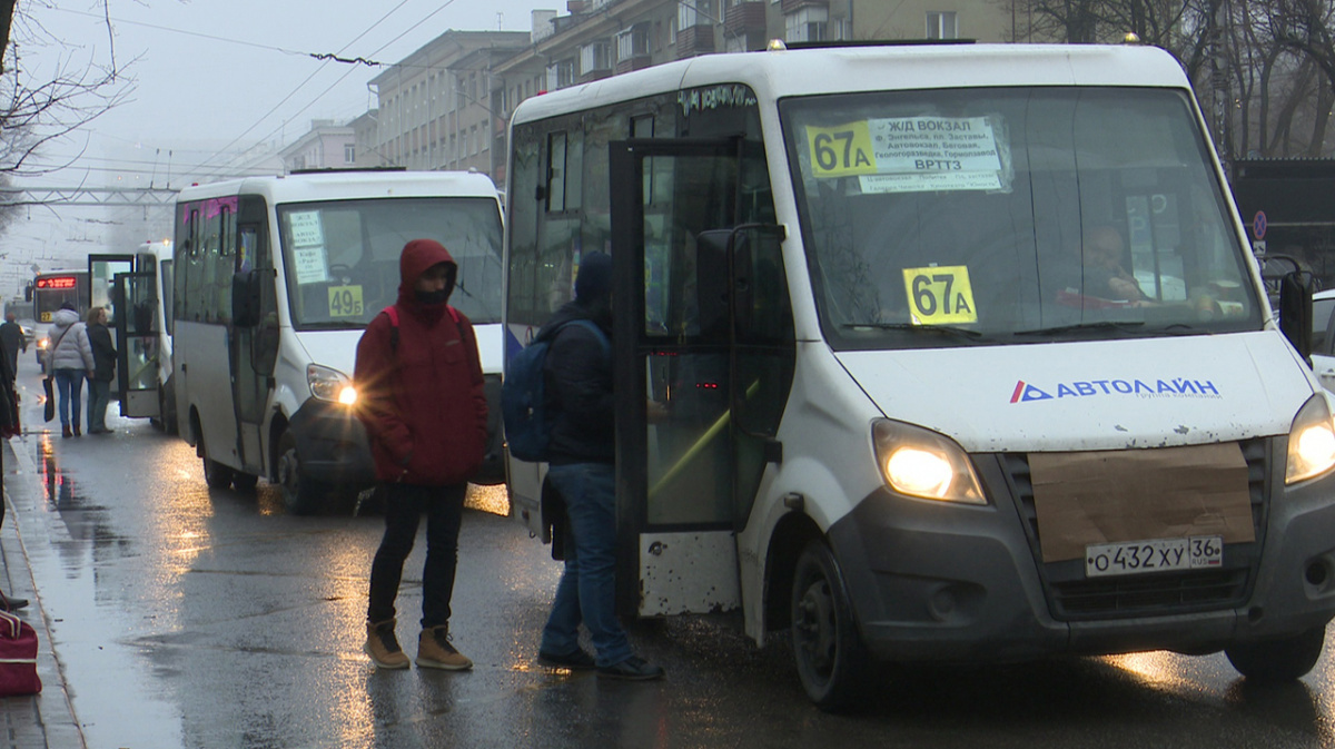 Транспорт воронеж новости. Водитель Воронежского автобуса. Автобус мэрия Воронежа. Воронеж транспорт-маршрутки. Водитель автобуса в Воронеже