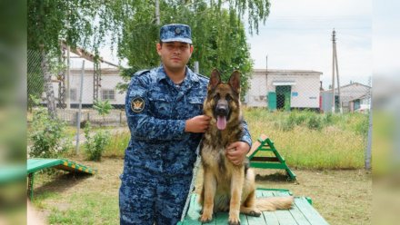 В Борисоглебске сотрудник исправительной колонии спас тонущего мужчину