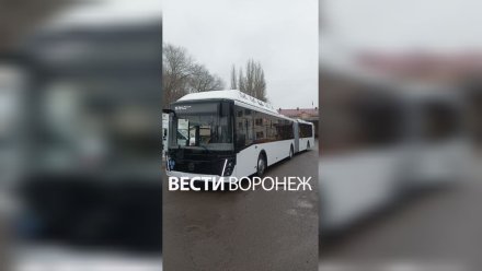 Воронежцам показали первые автобусы-гармошки