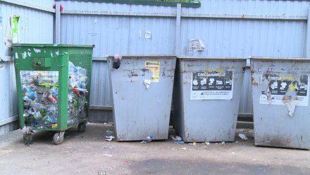 Воронежская область вошла в число лидеров по объёму бытового мусора в России