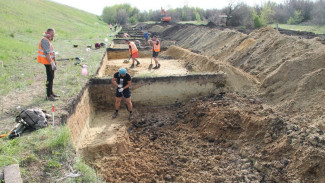 В Воронежской области при раскопках нашли кости и керамику бронзового века