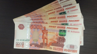 Парень из Белгорода украл у воронежской пенсионерки отложенные на лечение 100 тысяч