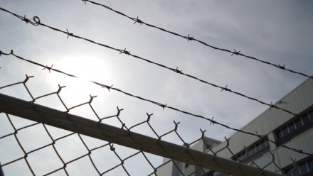 В Воронеже ужесточили наказание осуждённым за госизмену