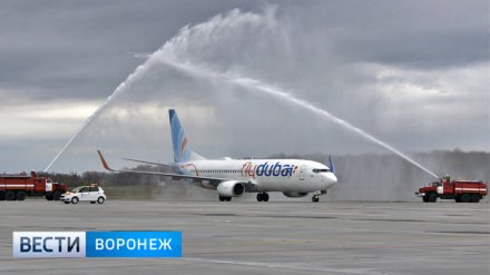 Flydubai открыл регулярные рейсы из Воронежа в Дубай