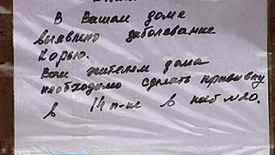 В Воронеж впервые за последние годы пришла корь