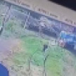 Под Воронежем камеры сняли момент гибели газонокосильщика под колёсами тепловоза