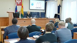 Воронежцам представили проект бюджета на 2026 год