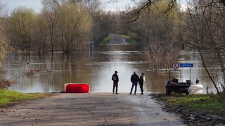 В МЧС перечислили затопленные низководные мосты в Воронежской области