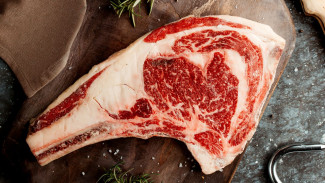Один из крупнейших в РФ агрохолдингов купил воронежского производителя говядины «Праймбиф»