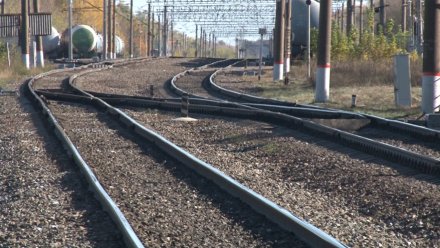 Подрыв железной дороги в Воронежской области назвали терактом