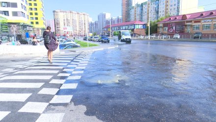 Жители утопающей в фекалиях улицы Шишкова в Воронеже обратились к губернатору