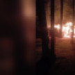 Появилось видео с места пожара на турбазе под Воронежем