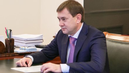 Владимир Нетёсов рассмотрел обращения жителей Воронежа и Поворинского района