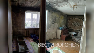 Бастрыкин взял на контроль историю с оставшейся без жилья многодетной семьёй под Воронежем