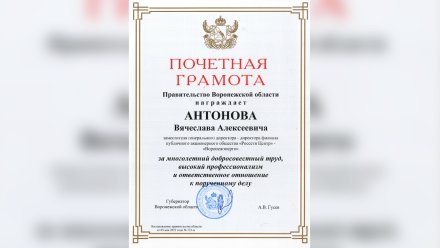 Директора Воронежэнерго наградили почётной грамотой правительства области