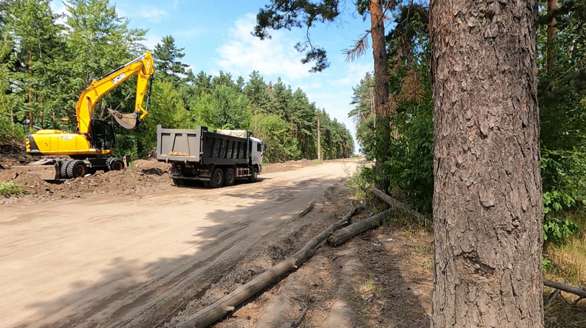 В Воронеже вырубят деревья и поросль у Северного леса – Новости Воронежа и  Воронежской области – Вести Воронеж