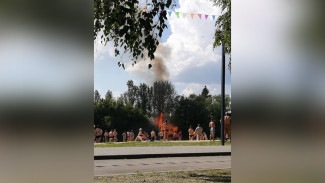 Сильный пожар вспыхнул у многолюдного пляжа под Воронежем