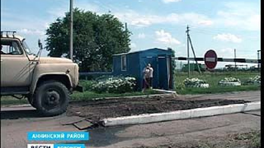 В Аннинском районе разгорелся конфликт между фермером и директором сельхозпредприятия