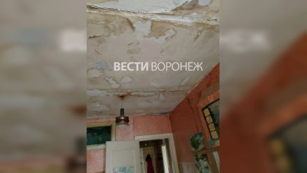 Под Воронежем жильцам дома с плесенью отказали в переносе капремонта из-за больших долгов