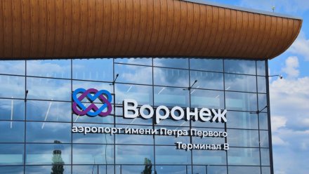 Губернатор назвал возможные сроки открытия воронежского аэропорта