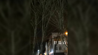 «Из-за самолётов не могу уснуть». Воронежцы показали на видео шум у Балтимора