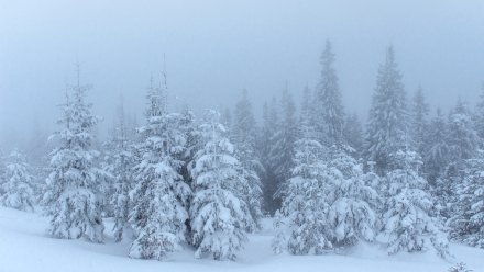 Воронежцев предупредили о морозах до -29 в начале новой рабочей недели