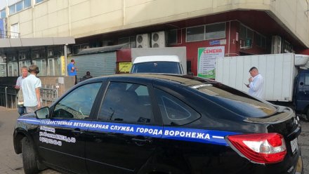 ФСБ восстановила путь заражённого сибирской язвой мяса до рынка в Воронеже