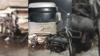 В Воронежской области после ДТП с фурой двое москвичей погибли в искорёженной Audi