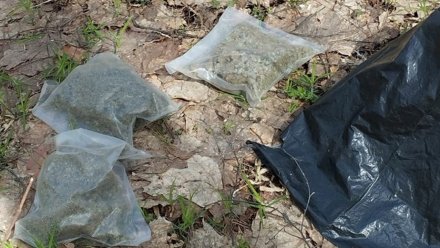 В Воронежском заповеднике нашли закладку с наркотиками 
