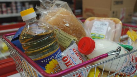 В Воронежской области снова подняли прожиточный минимум