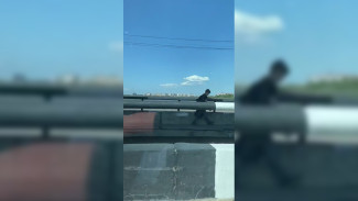 Воронежцы сняли на видео опасную прогулку ребёнка по краю моста над водохранилищем