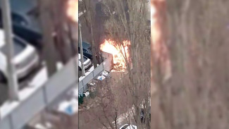 Мусорка загорелась в воронежском дворе 