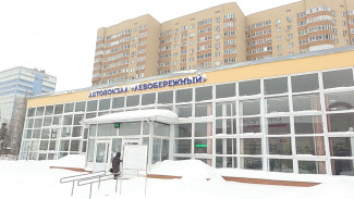 Из-за снегопада жители отдалённых сёл и городов добрались на попутках до Воронежа