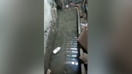 Подвал в воронежском доме оставили затопленным фекалиями вопреки указу о подготовке укрытий
