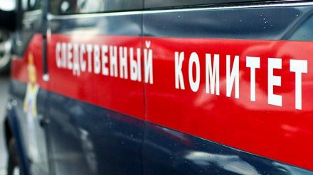 СК прокомментировал сообщение о найденной на тротуаре человеческой голове в Воронеже